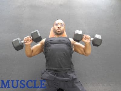 All Dumbbell Upper Body Workout workout