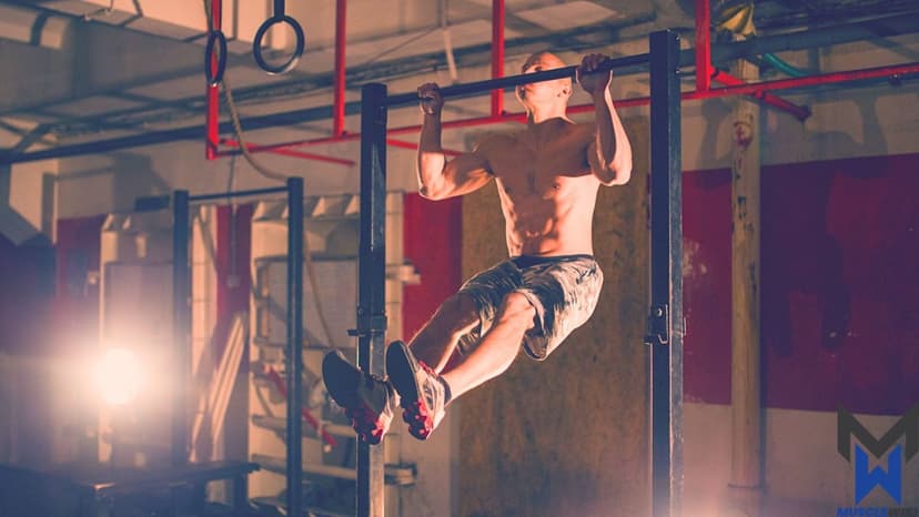 Advanced Bodybuilder - Back workout