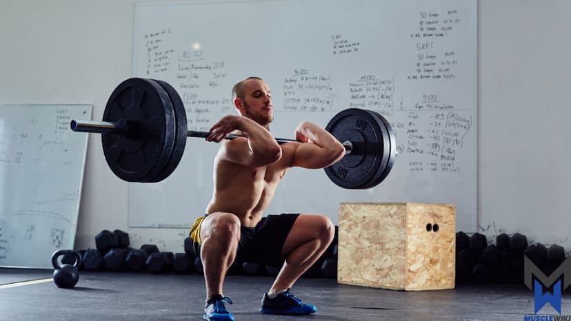 Legs for Advanced Lifters workout
