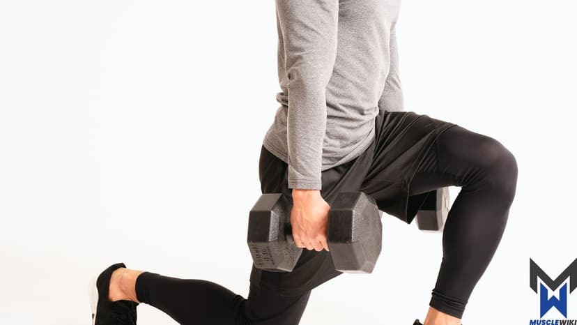 Lower Body Beginner Workout workout