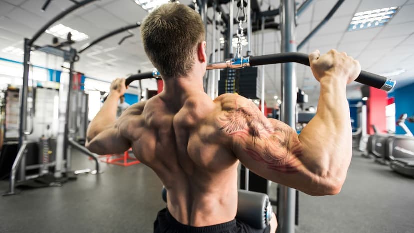 Full Body Bodybuilding - Day 2 workout