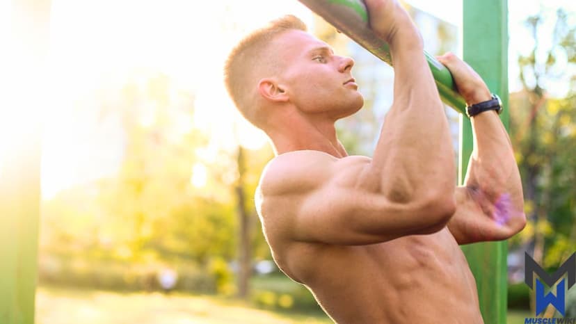 Intermediate Bodybuilder - Back workout