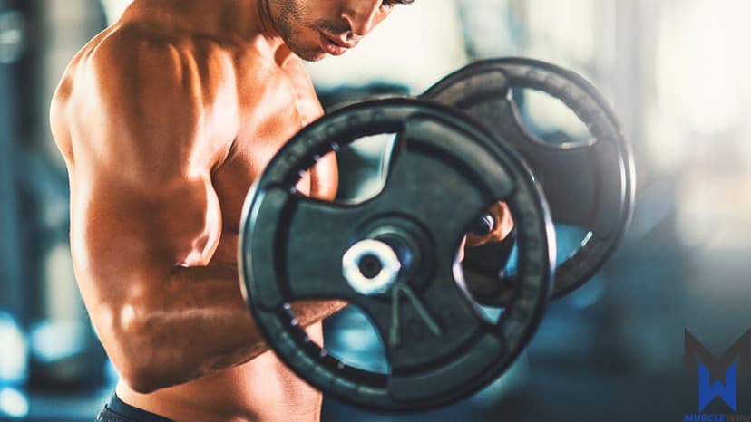 Intermediate Bodybuilder - Arms workout