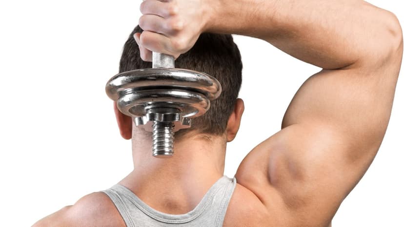 Triceps for Intermediates workout