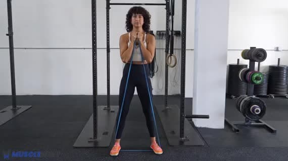 Band Goblet Squat