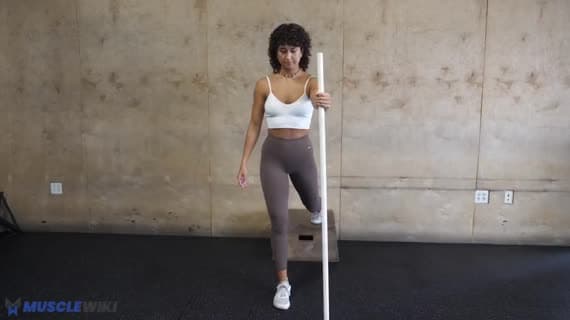 Assisted Bulgarian Split Squat