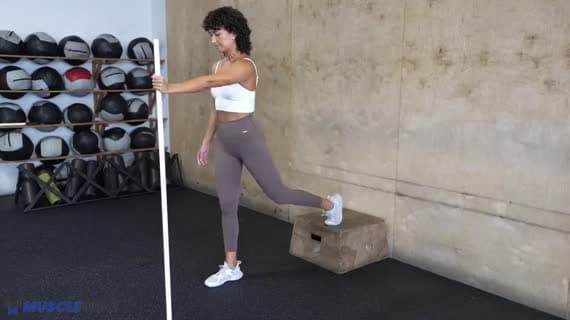 Assisted Bulgarian Split Squat