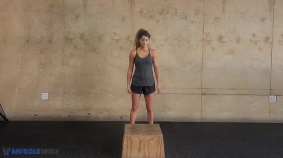 Single Leg Box Jump