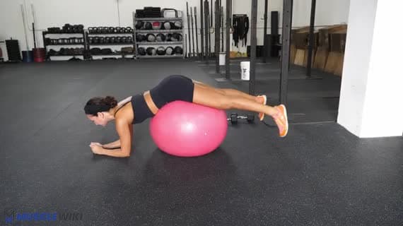 Stability Ball Reverse Hyperextension