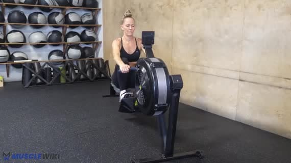 Cardio Row Erg Rower
