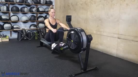 Cardio Row Erg Rower Legs Only