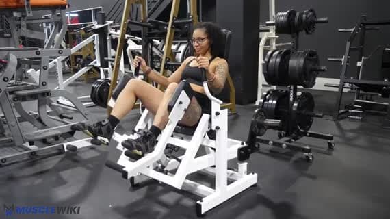 Gluteator