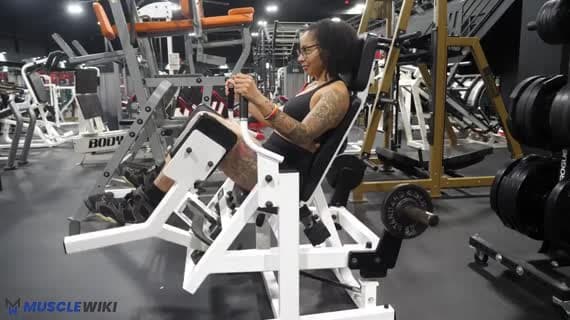 Gluteator