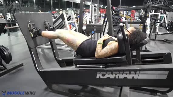 Horizontal Hack Squat