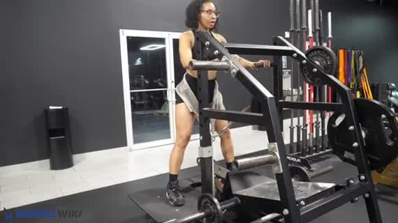 Machine Belt Squat