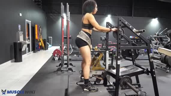 Machine Belt Squat
