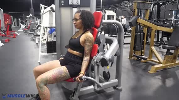 Machine Bicep Curl