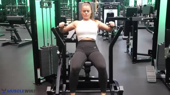 Machine Chest Press