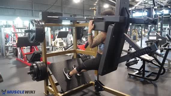 Machine Pendulum Squat