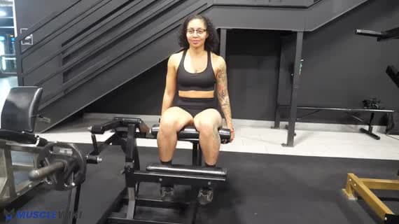 Machine Plate Loaded Leg Extension