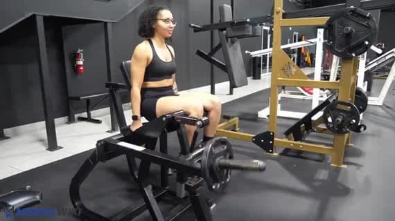 Machine Plate Loaded Leg Extension