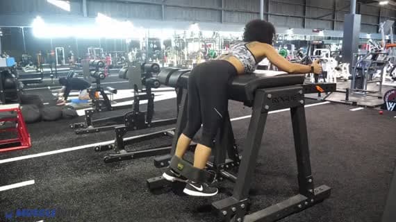 Machine Reverse Hyperextension