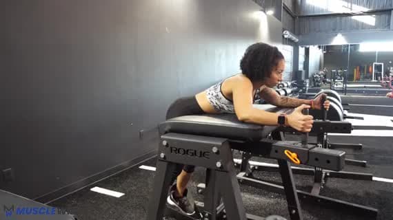 Machine Reverse Hyperextension