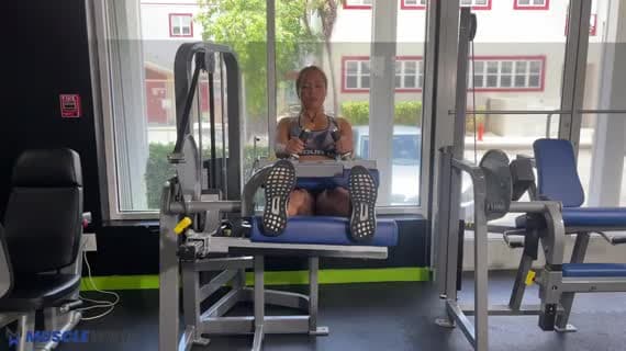 Machine Seated Leg Curl