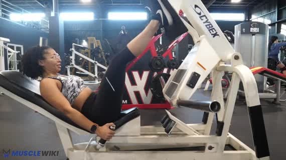 Machine Squat Press
