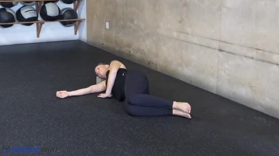 Abductor Leg Raise Side Lying Isometric