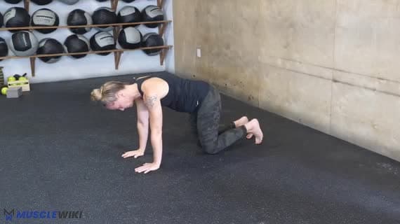 Hip Extension 4Pt Position Hold