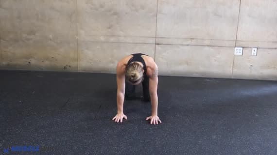 Hip Extension 4Pt Position Hold