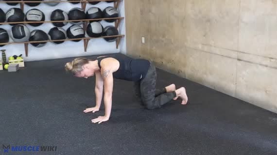 Hip Extension External Rotation 4Pt Position