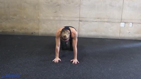 Hip Extension External Rotation 4Pt Position