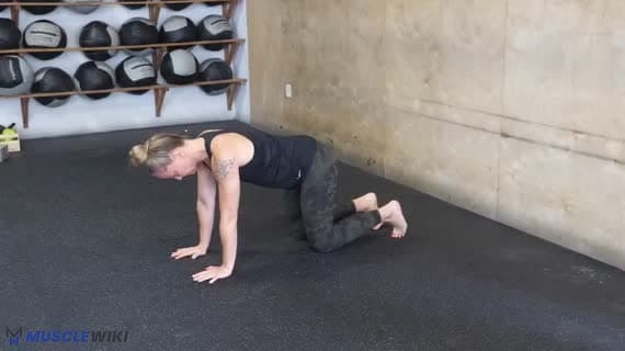 Hip Extension External Rotation Pulses 4Pt Position