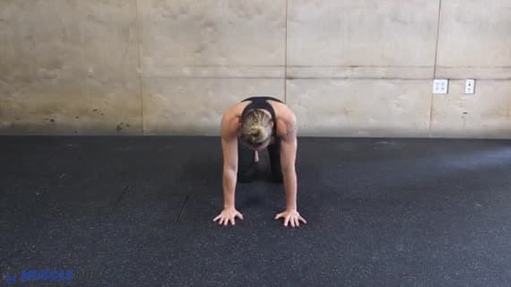 Hip Extension External Rotation Pulses 4Pt Position