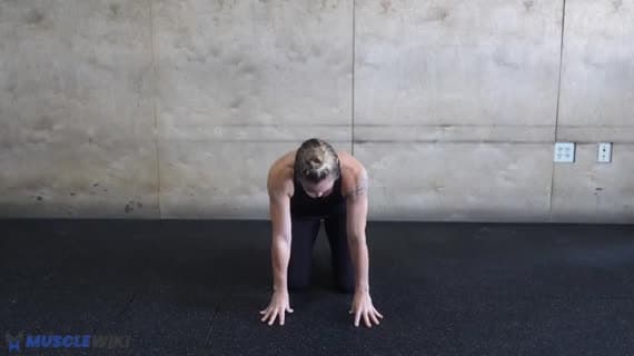 Kneeling Quad Stretch