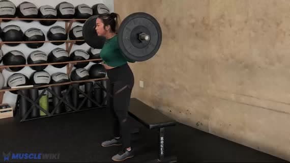 Barbell Pause Box Squat