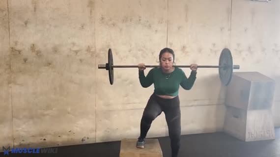 Barbell Side Step Up