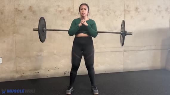 Barbell Zercher Squat