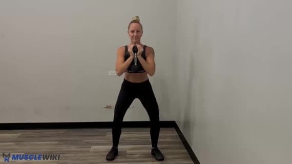 Dumbbell Goblet Pulse Squat