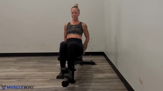 Dumbbell Leg Extension