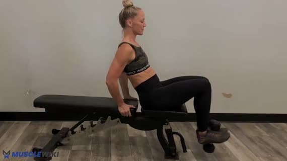 Dumbbell Leg Extension