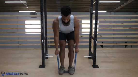 Band Bent Over Row