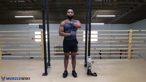 Mini Band Tricep Pushdown