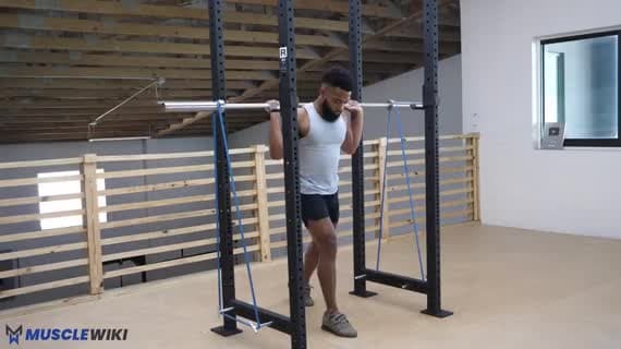 Barbell Banded Split Squat