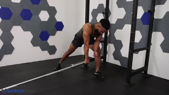 Landmine Rear Delt Row