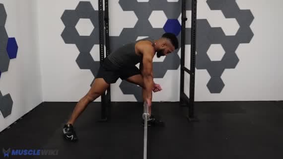 Landmine Rear Delt Row