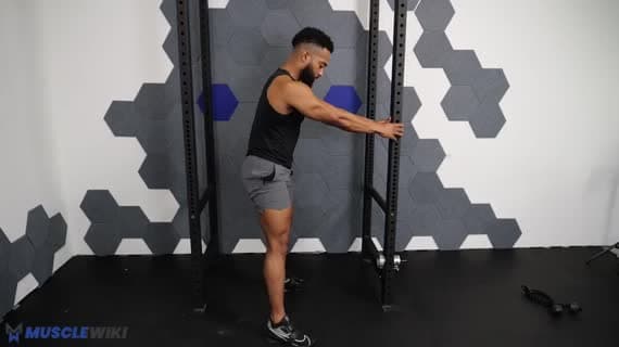 Bodyweight Assisted Squat
