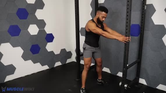 Bodyweight Assisted Squat